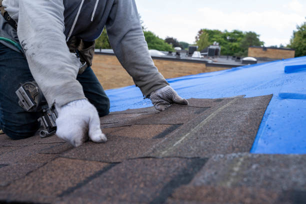 Best Emergency Roof Repair  in Colonial Heights, TN